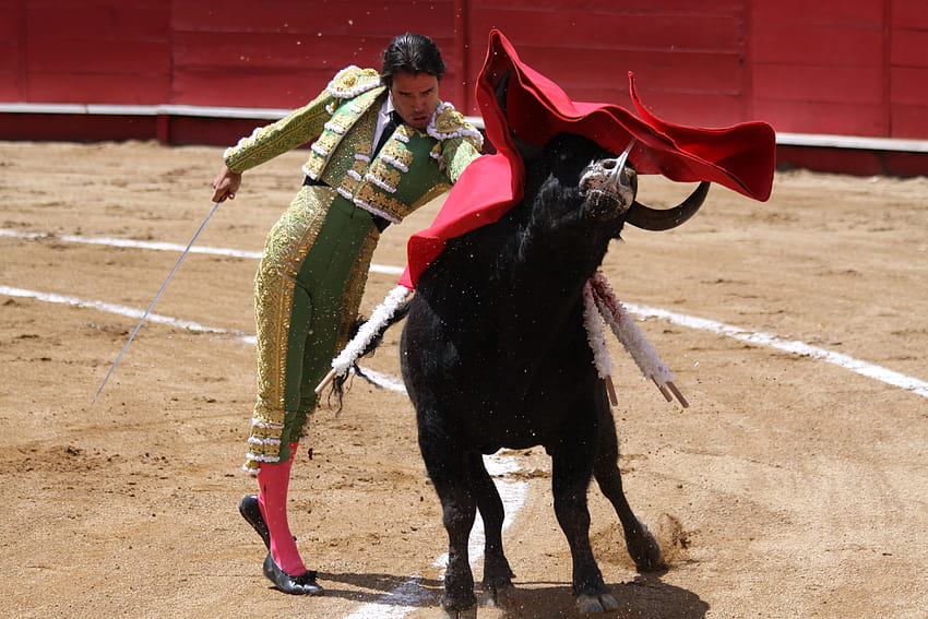 spanish style bullfighting HD wallpaper