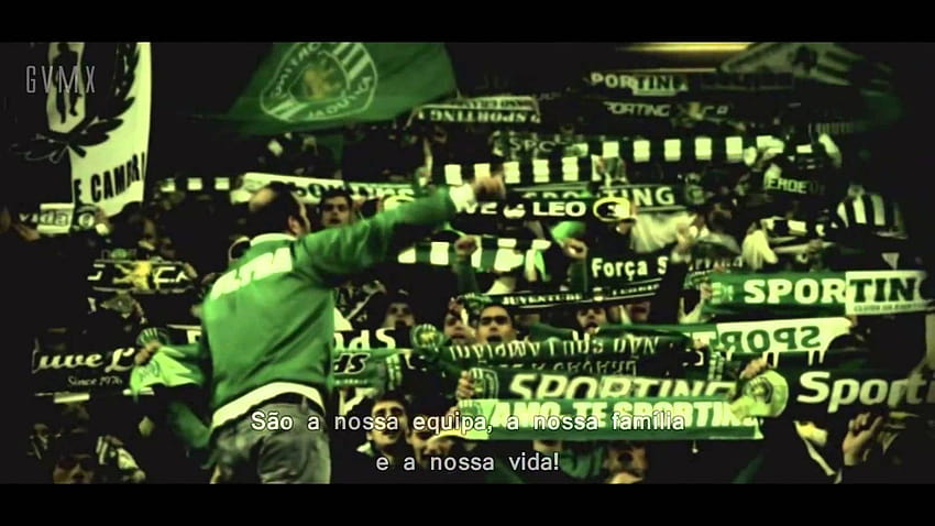 hoje escreves tu!: «Carta Aberta aos Núcleos do Sporting espalhados, sporting portugal HD wallpaper