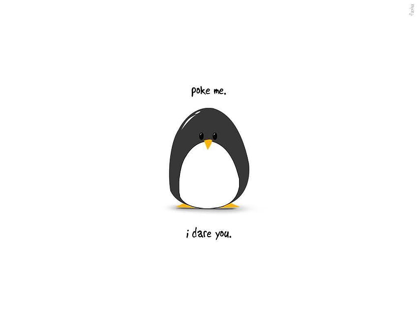 Funny Penguin Android APK For, cartoon penguin HD wallpaper | Pxfuel