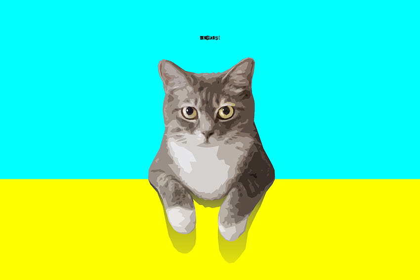 5054806 / Minimalist, Cat, Artwork, Simple, Digital Art, Pet, Cyan, Yellow, Animal, yellow cat HD wallpaper