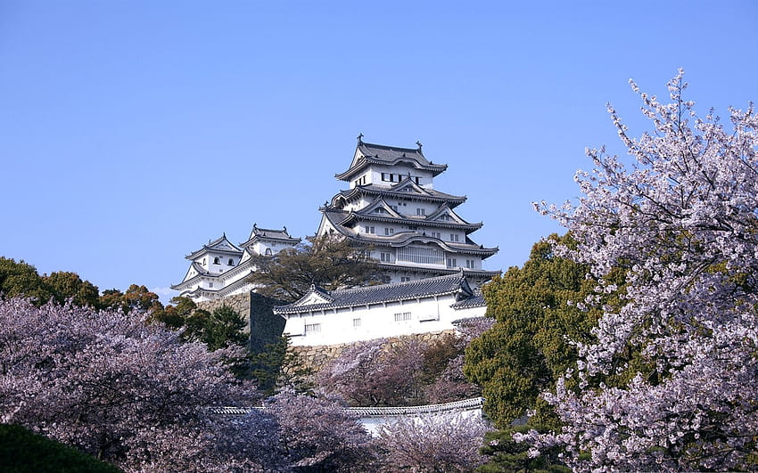 himeji castle and cherry blossoms, castle spring HD wallpaper