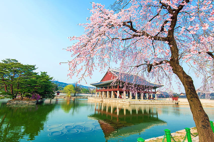 Korea Scenery Summer Korea HD   Pxfuel   Desktop   Korea Scenery Summer Korea 