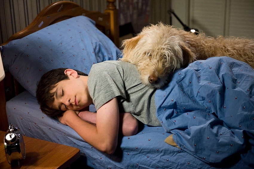 Greg Heffley's Journals Continues on the Big Screen in “Diary of a, dog ...