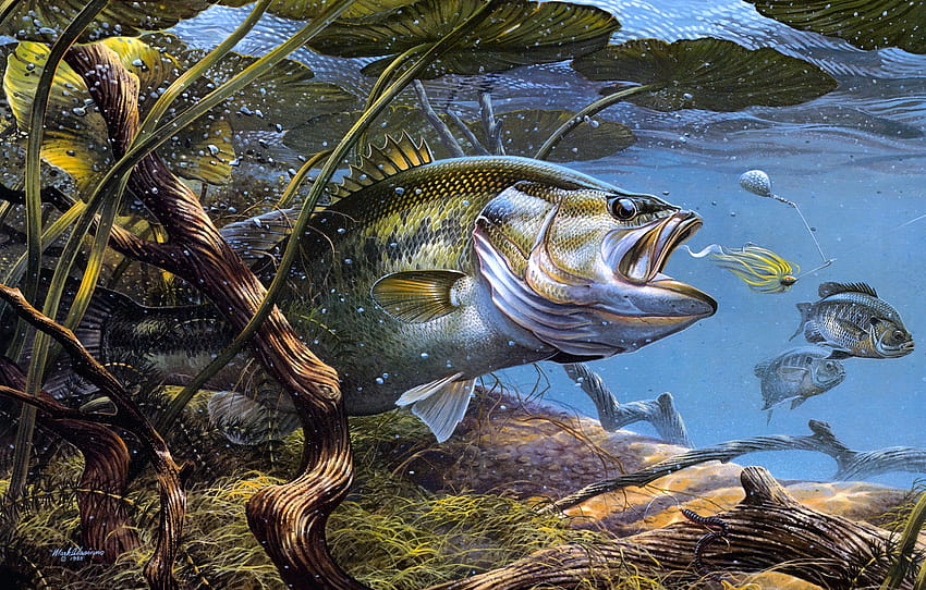 ใบไม้ น้ำ สาหร่าย ธรรมชาติ แม่น้ำ รูป ตกปลา ด้านล่าง ปลา ศิลปะ วาด โลกใต้น้ำ ใต้น้ำ ของประดับตกแต่ง เหยื่อ ส่วน живопись วอลล์เปเปอร์ HD