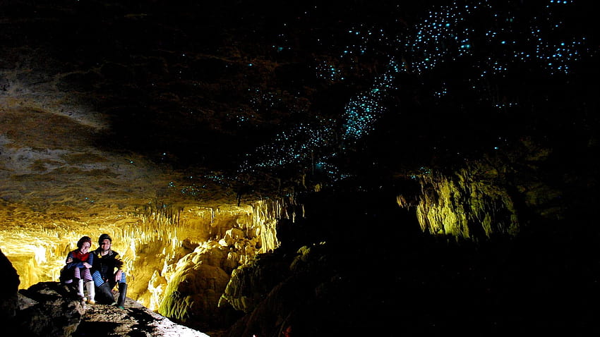 Waitomo Glowworm Caves, arachnocampa HD wallpaper