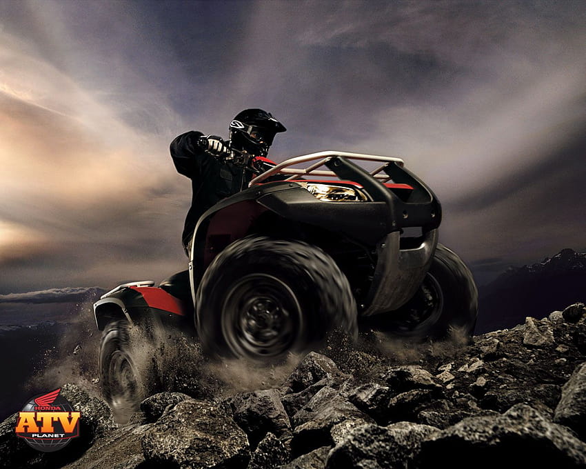 2021 honda four online wheeler