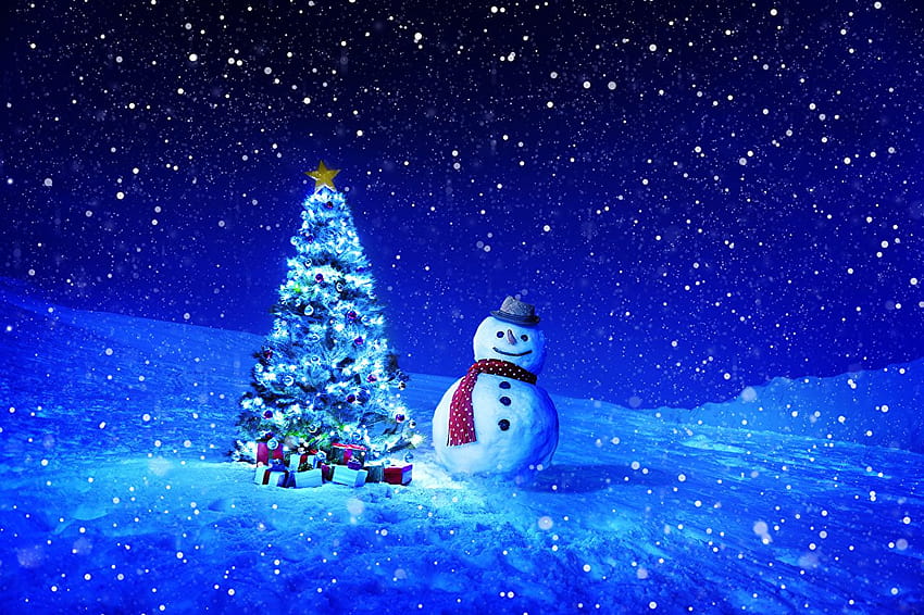 Christmas Winter Christmas tree Sky Snow Snowmen, christmas tree with snow on it HD wallpaper