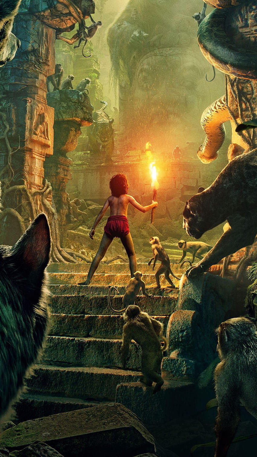 Film Księga dżungli 2016 na iPhone'a, film mowgli Tapeta na telefon HD