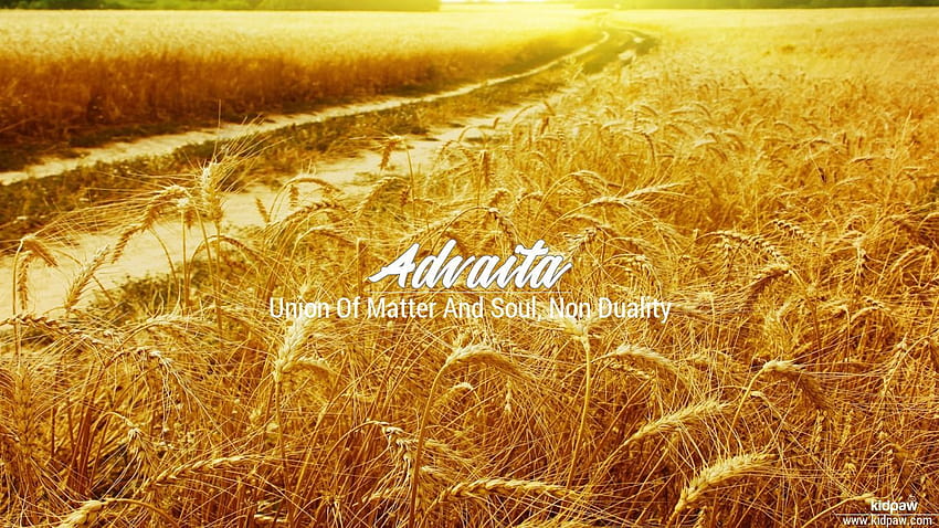 Advaita 3D Name for Mobile, Write अद्वैत Name on Online HD wallpaper