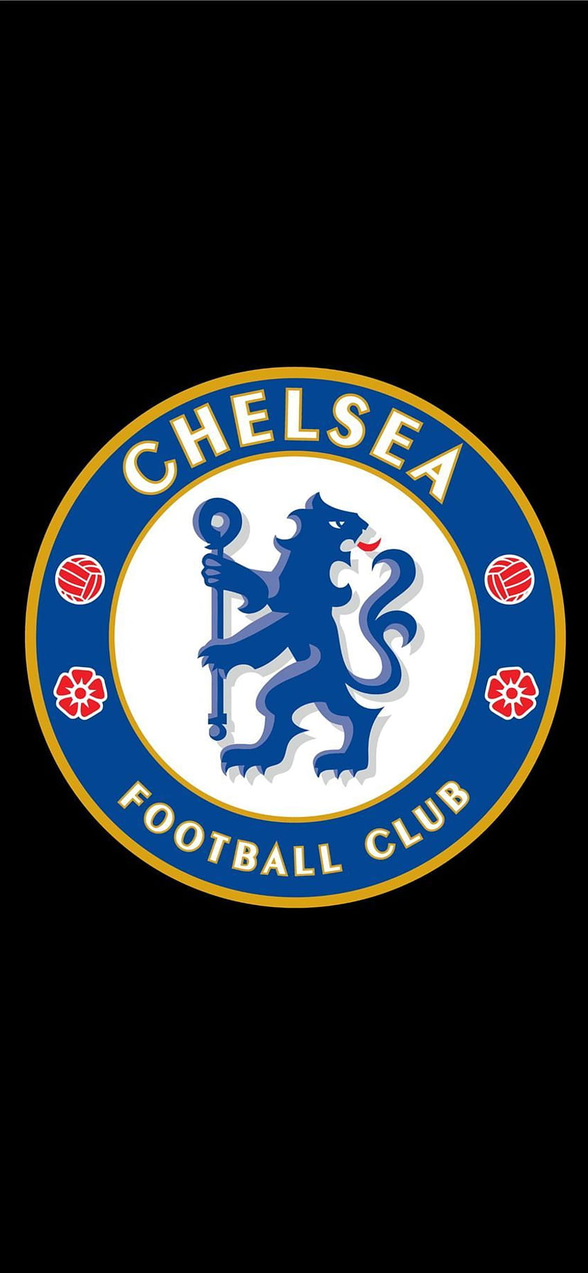 Chelsea Football Club Chelsea Fc backgrounds iPhone X, chelsea android HD phone wallpaper