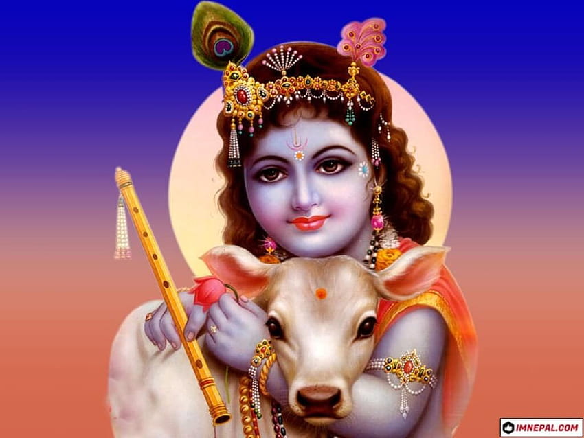 Lord Krishna, child krishna HD wallpaper