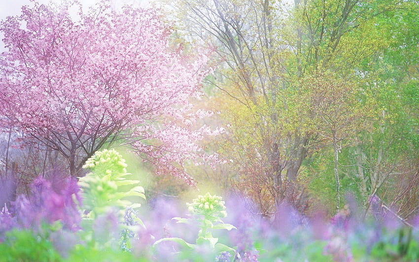 Frühlingsblumen Pastell, Frühlingspastelle HD-Hintergrundbild