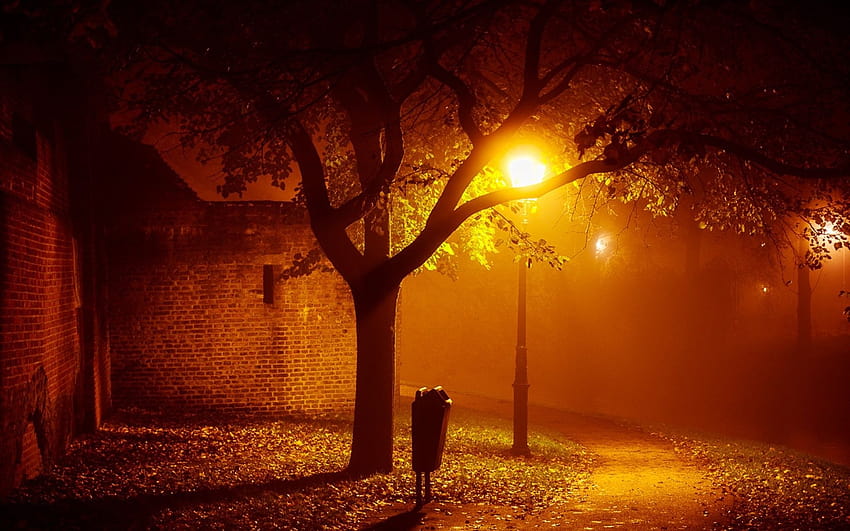 landscapes, Night, Lights, Mood, Autumn, Fall, Seasonal, Fog, Mist, Places, Houses, Buildings, Architecture, Trees, Lamps, Lamp posts, graphy / and Mobile Backgrounds, autumn night HD wallpaper