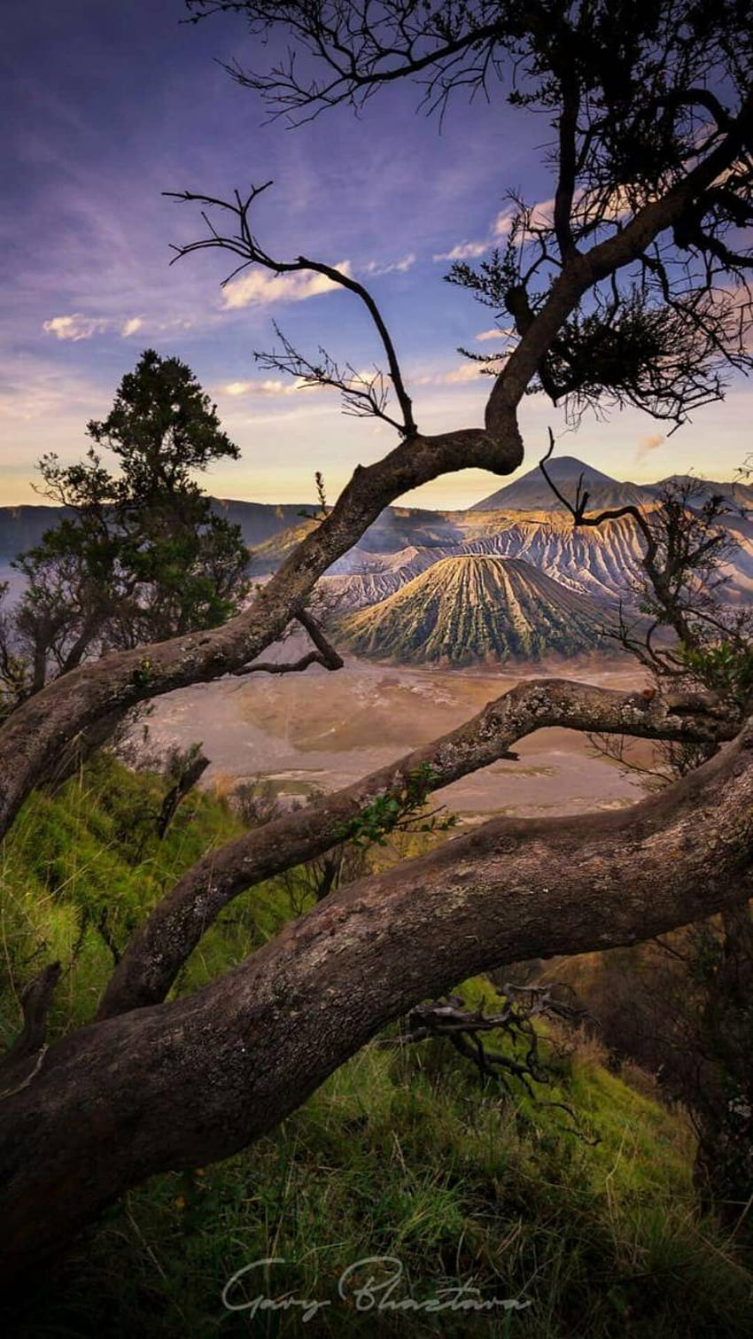 Bromo by Gonners_Id HD phone wallpaper