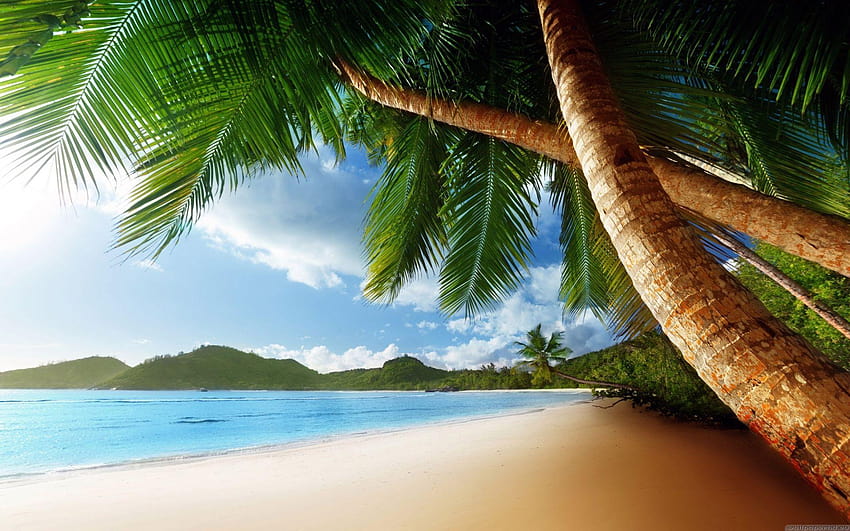 Caribbean Beach For Your Nature, caribbean background HD wallpaper | Pxfuel