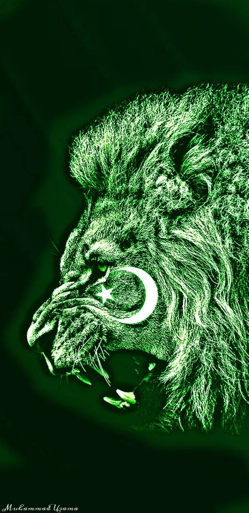 Raja bendera Pakistan oleh usamakingkhan676402, iphone bendera pakistan wallpaper ponsel HD