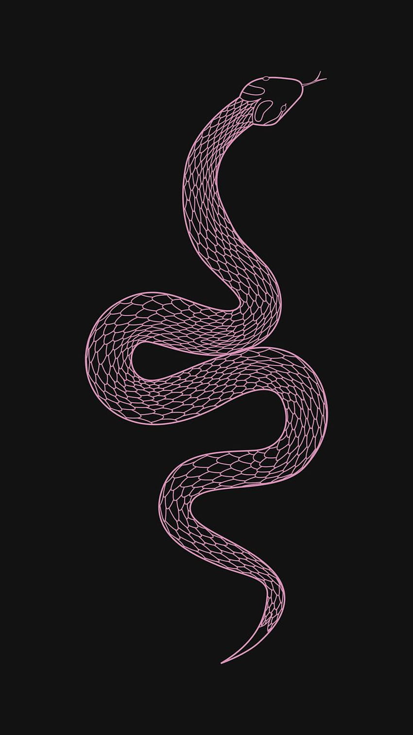 Hand outline, snake dragon HD phone wallpaper | Pxfuel
