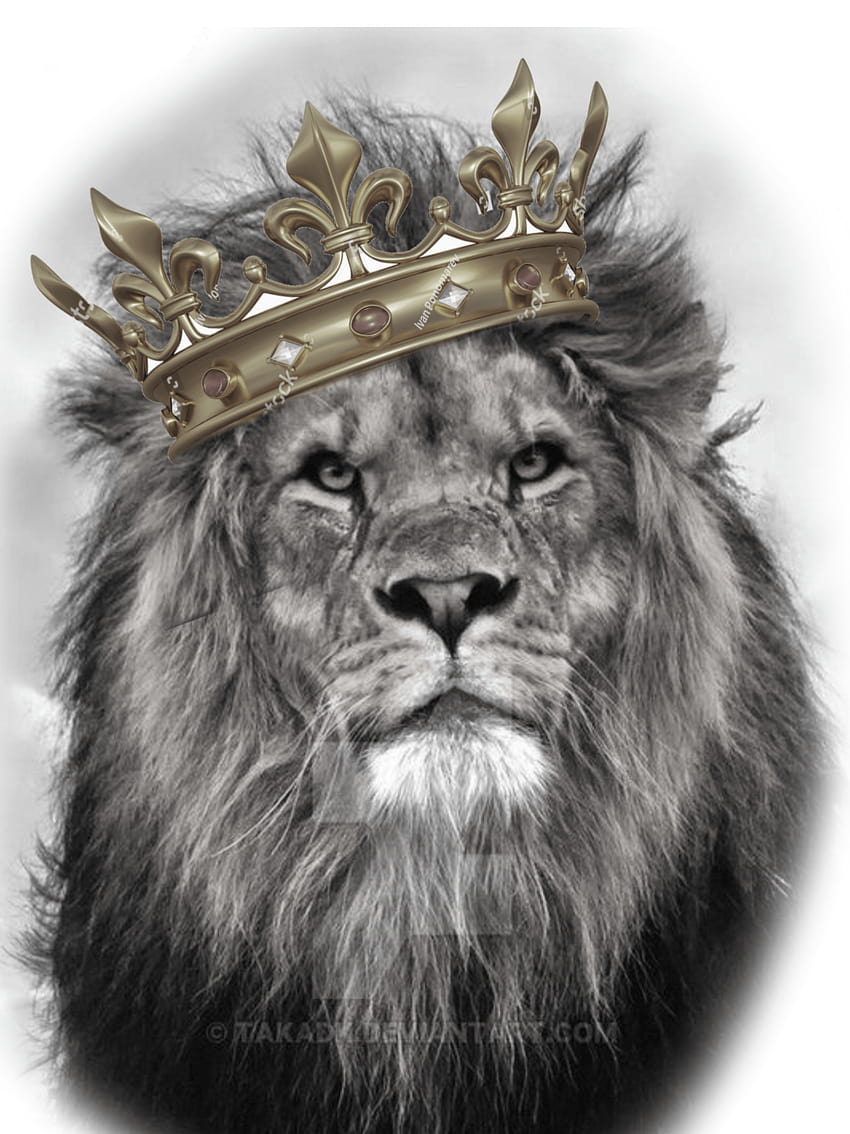 Dope Lion on Dog, lion crown HD phone wallpaper
