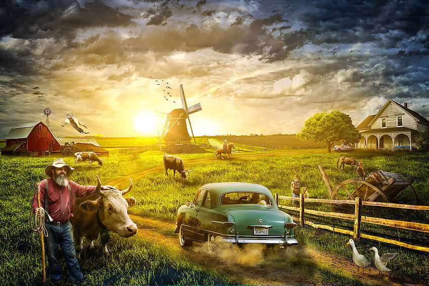 farm life, country life HD wallpaper
