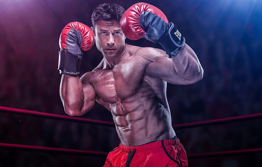 man, muscles, boxing, guard , section спорт, boxing sport HD wallpaper