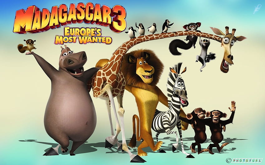 Madagascar 3 Movie HD wallpaper | Pxfuel