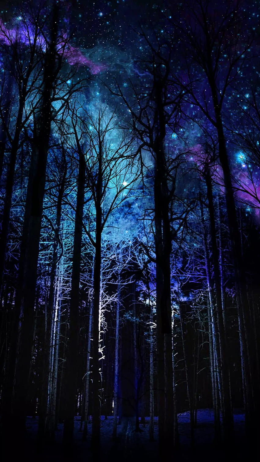 Dark Forest Dark Nature, dark iphone x HD phone wallpaper