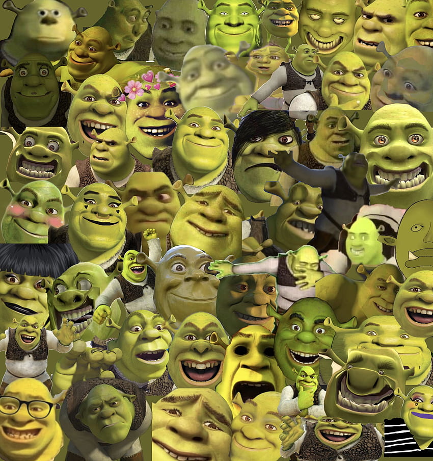 Meme, funny, shrek, HD phone wallpaper