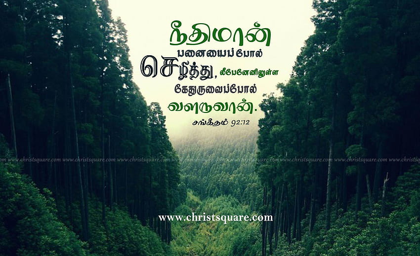 Tamil christian , tamil bible , mobile christian, christian with bible verses for mobile HD wallpaper