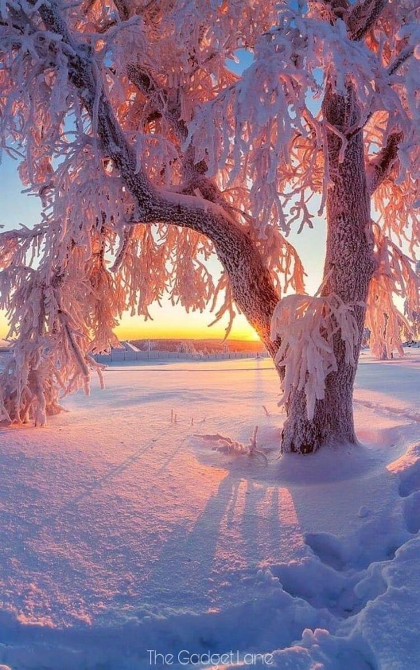 Зимен пейзаж, публикуван от Джон Селърс HD тапет за телефон