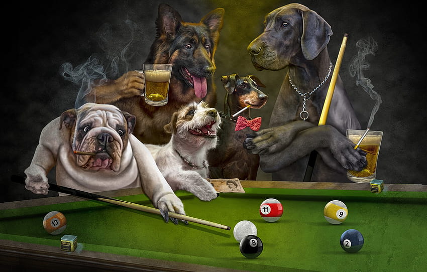 language, dogs, look, the dark background, rendering, table, stay, balls, the game, beer, dog, club, Billiards, art, mugs, chain , section рендеринг, dogs playing pool HD wallpaper
