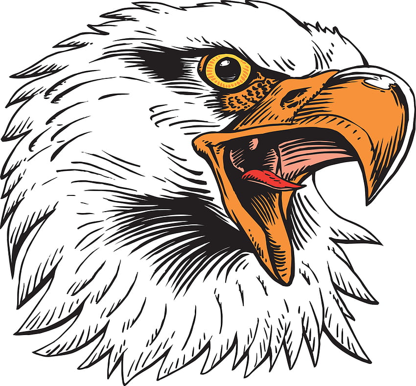 Sektor PNG: orzeł, orzeł, logo orła, logo Tapeta HD