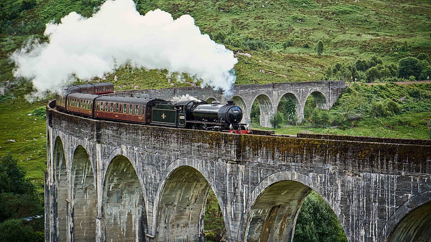 Harry Potter Train on Dog, hogwarts train HD wallpaper