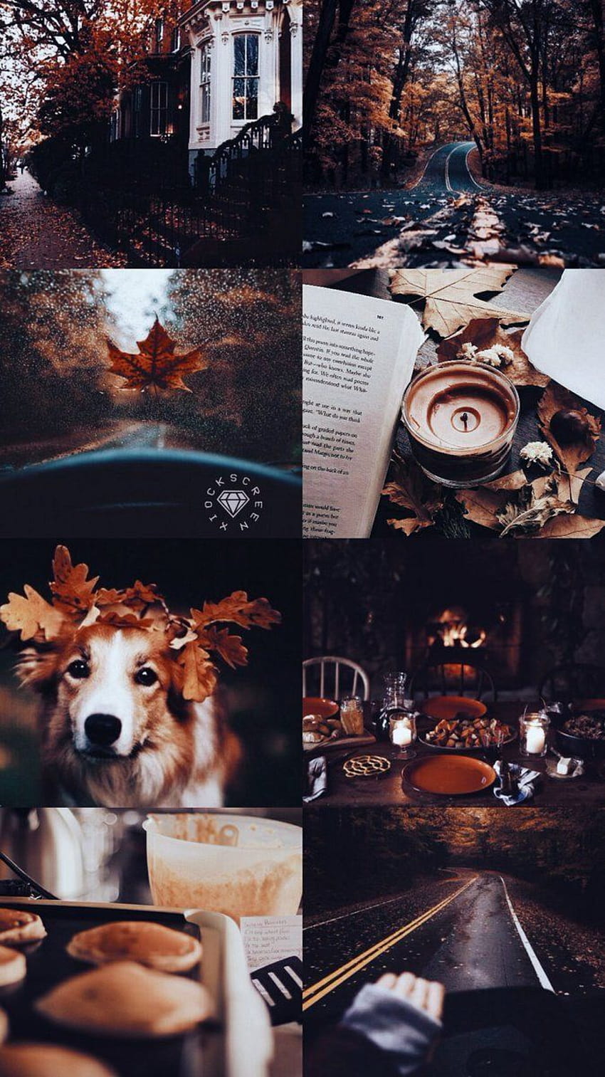 Mood board inspo // aesthetic, aesthetic autumn collage HD phone ...