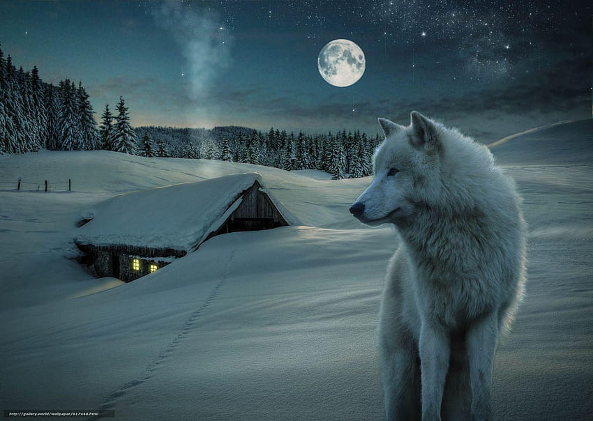 Baixar 3d, pequena casa, neve, Lobo Papis de parede grtis, lobos 3d HD-Hintergrundbild