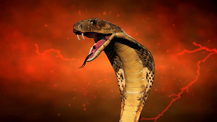 3d King Cobra Snake , 67 s HD wallpaper | Pxfuel