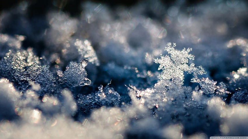 Ice snowflakes slush, winter slush HD wallpaper