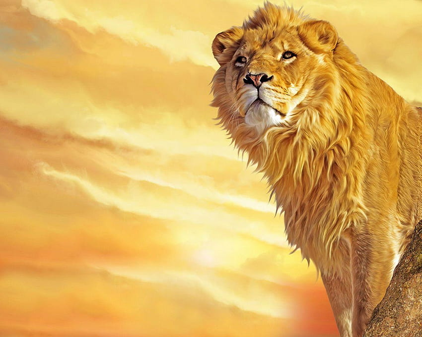 Singa mungil, aslan mengaum Wallpaper HD