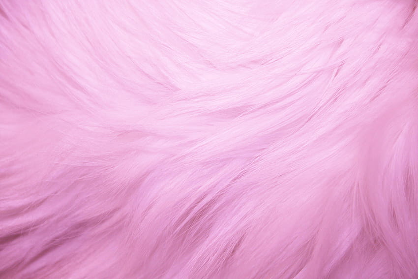 Pink Fur HD wallpaper