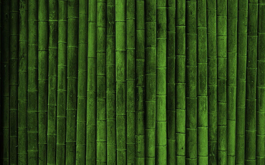 Archives, sugarcane HD wallpaper