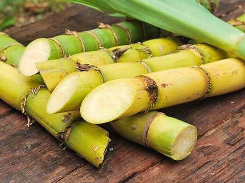 13 Top Health benefits of Sugarcane Juice HD wallpaper