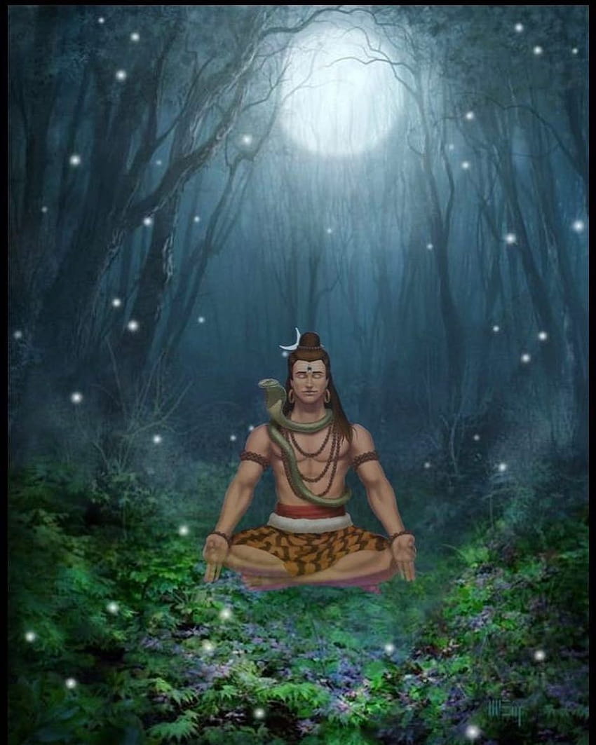 Lord Shiva is the supreme God of Yoga. We can see take him to be ...