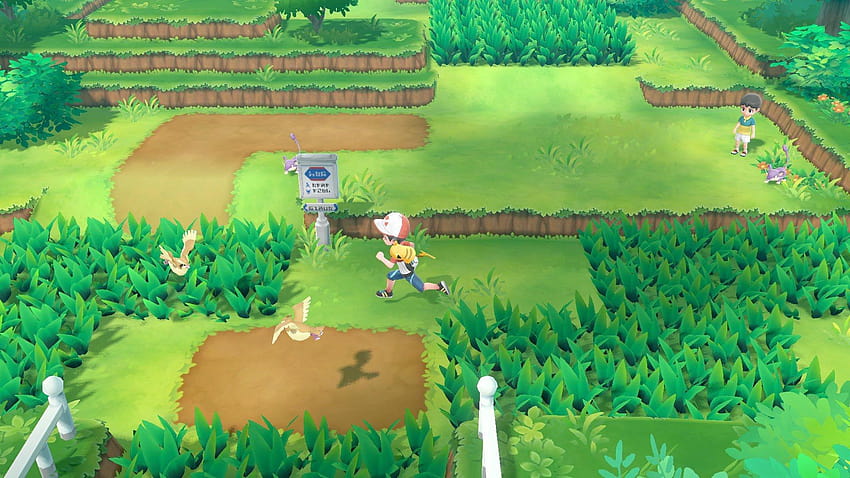 Pokémon Let's Go Pikachu And Eevee Demo Reveals How Shiny, pokegaming HD  wallpaper | Pxfuel