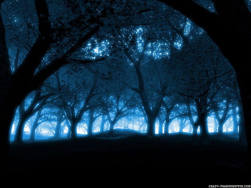 Bosques de mágia y azules profundos, синьо дърво HD тапет