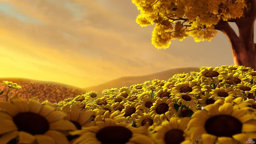 Niesamowite piękne żółte kolorowe kwiaty Idealny sen pokoju, żółte letnie kwiaty Tapeta HD