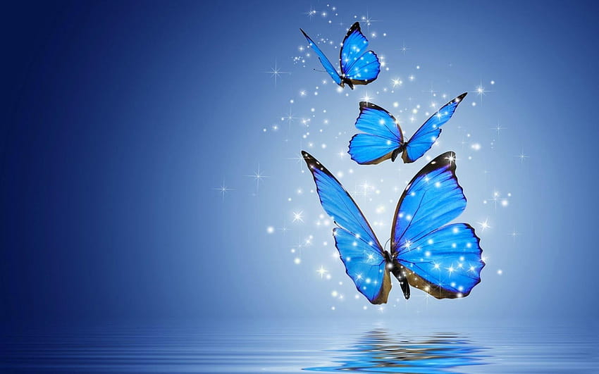 Blue Butterfly Backgrounds, butterfly flying HD wallpaper