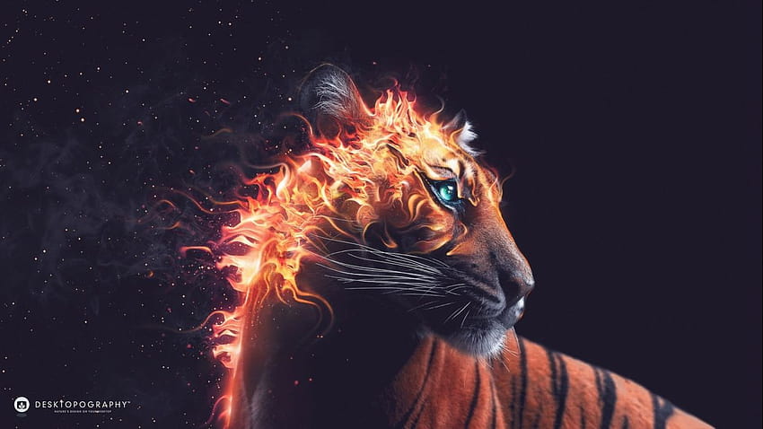 Fantasy tygrys zwierzęcy drapieżnik sztuka artystyczna, sztuka tygrysa Tapeta HD