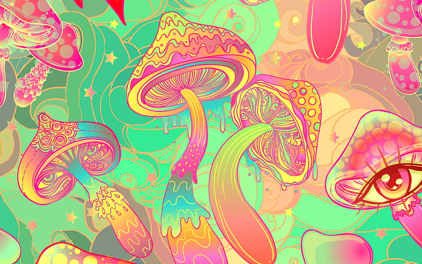 Magic mushrooms: the next big thing in beverages?, trippy mushrooms HD wallpaper
