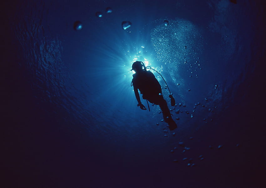 2950x2094, Scuba Diving, scuba diver HD wallpaper
