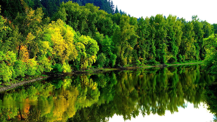 Зелена гора, ултра среда HD тапет