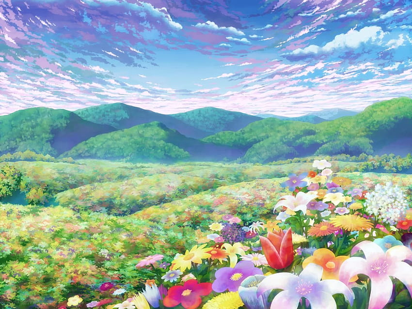 Aoha, Anime-Blumenfeldlandschaft HD-Hintergrundbild